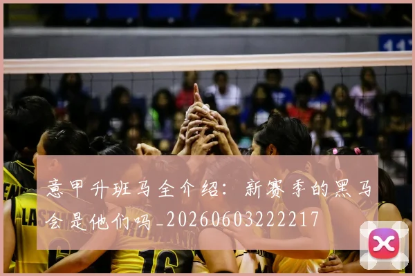 意甲升班马全介绍：新赛季的黑马会是他们吗_20260603222217